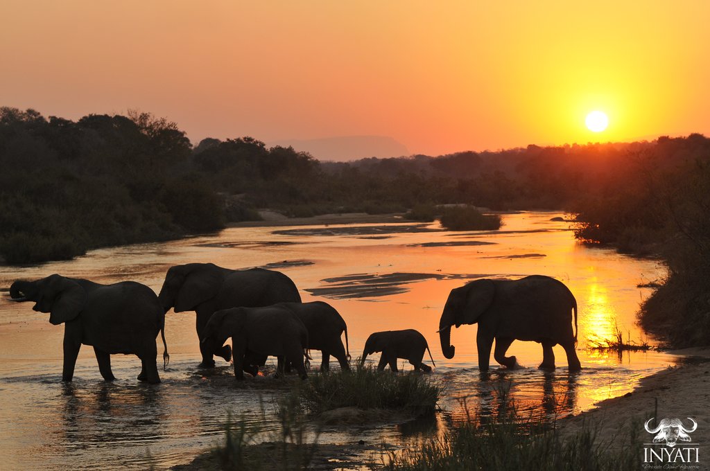 15-Day Southern Africa Adventure: Wildlife, Cities & Culture