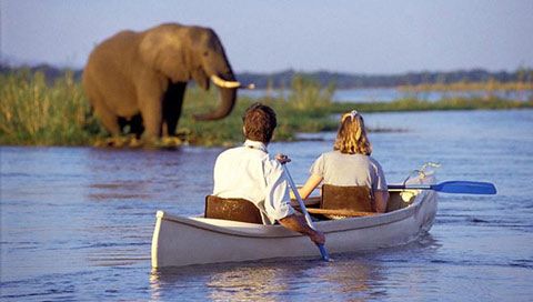 3-Day Chobe Safari Adventure -Boat Cruises & Game Drives