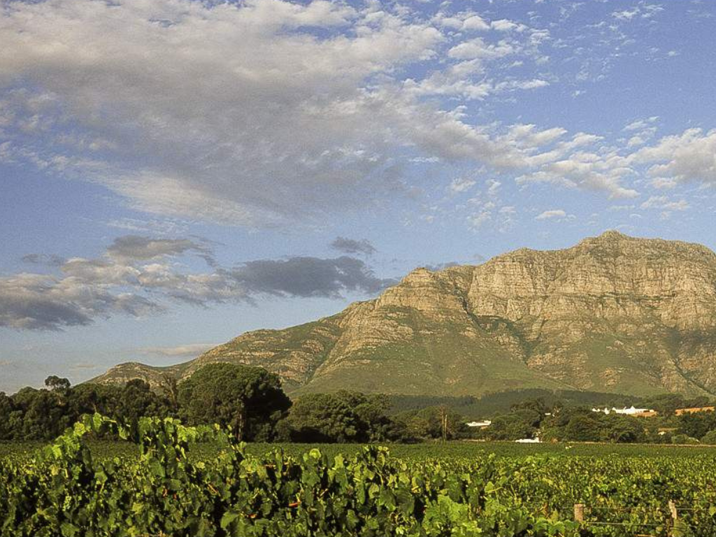 5-Day South Africa Garden Route & Addo Escape