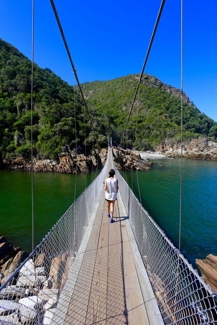 2-Day Scenic Garden Route Safari – Cape Town Adventure