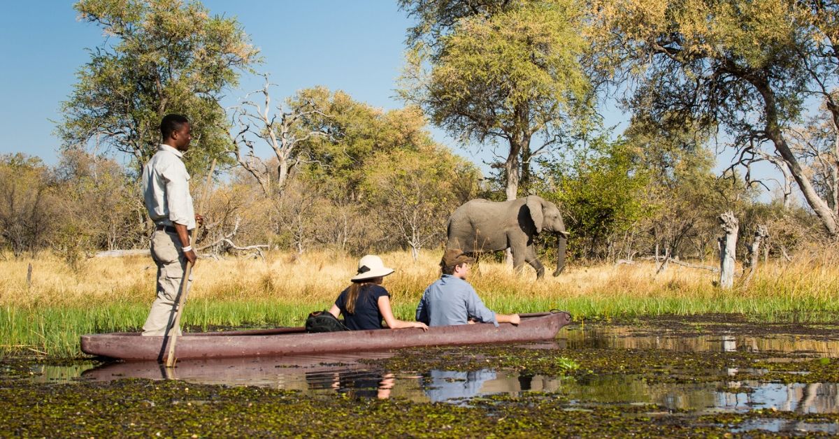 4-Day Botswana Safari – Chobe & Okavango