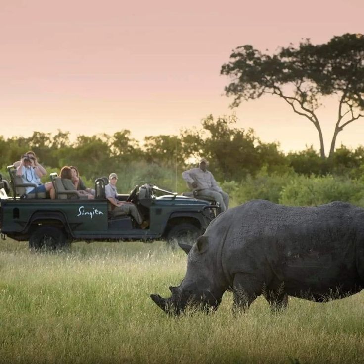2-Day Exclusive Kruger Safari – Big Five & Luxury Lodge
