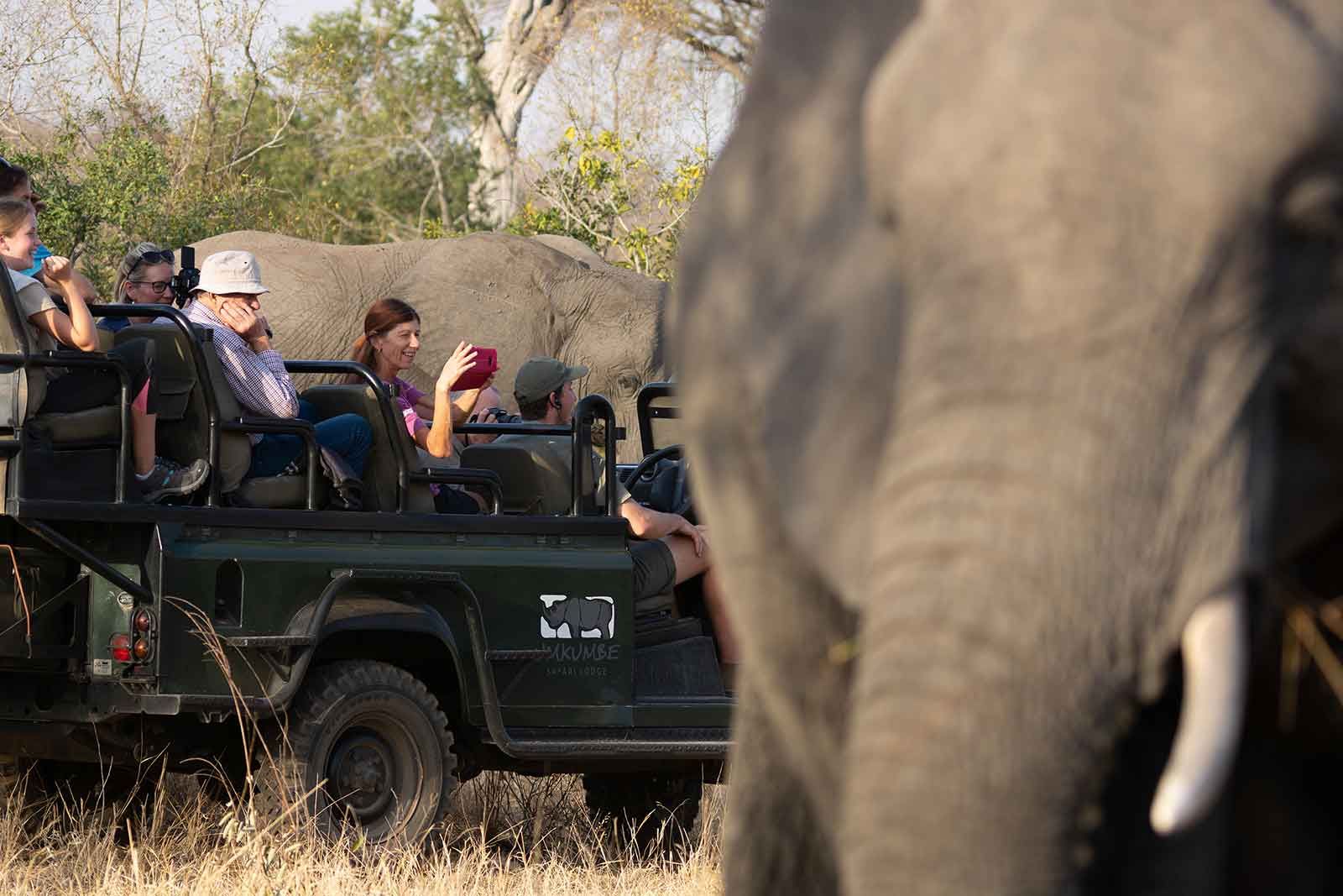 4-Day Wildlife Safari–  Kruger & Panorama Route