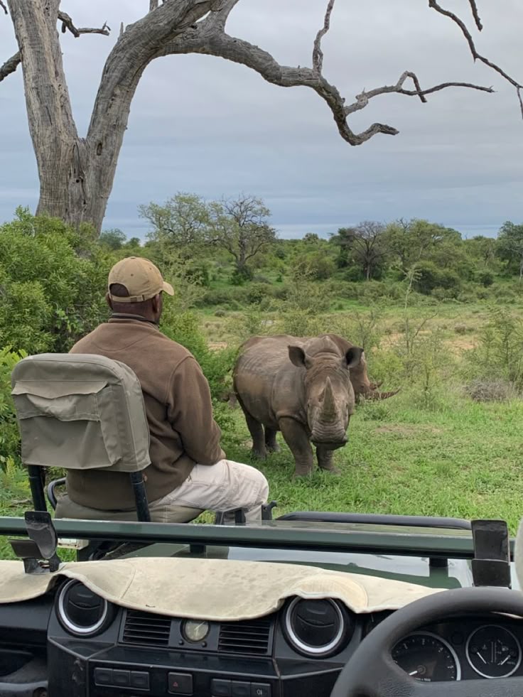 2-Day Etosha Safari from Windhoek – Lions, Elephants & More