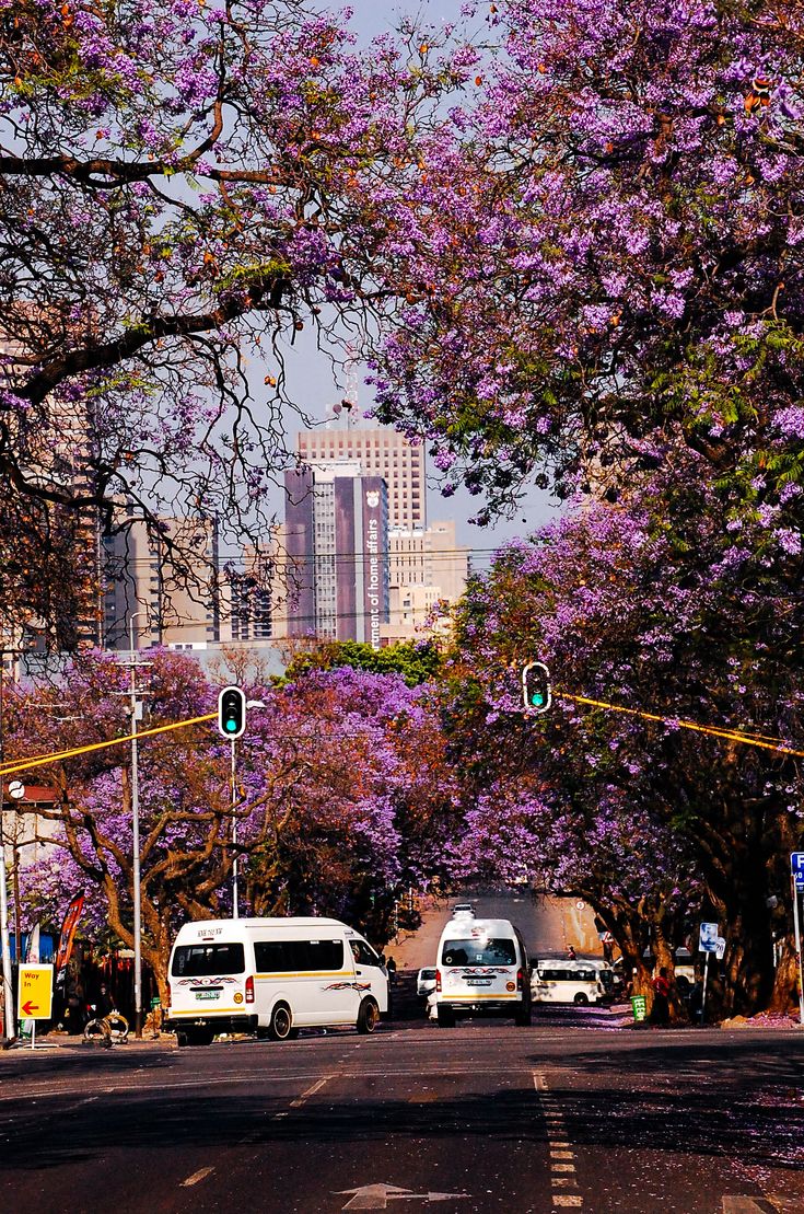 1-Day Authentic Johannesburg Experience