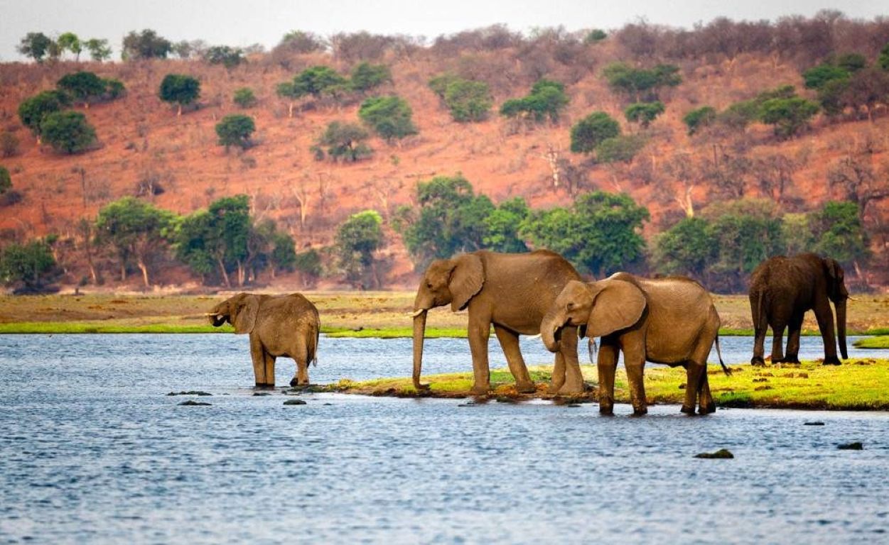 Safari de gama media en el Nguni Lodge – 5 días