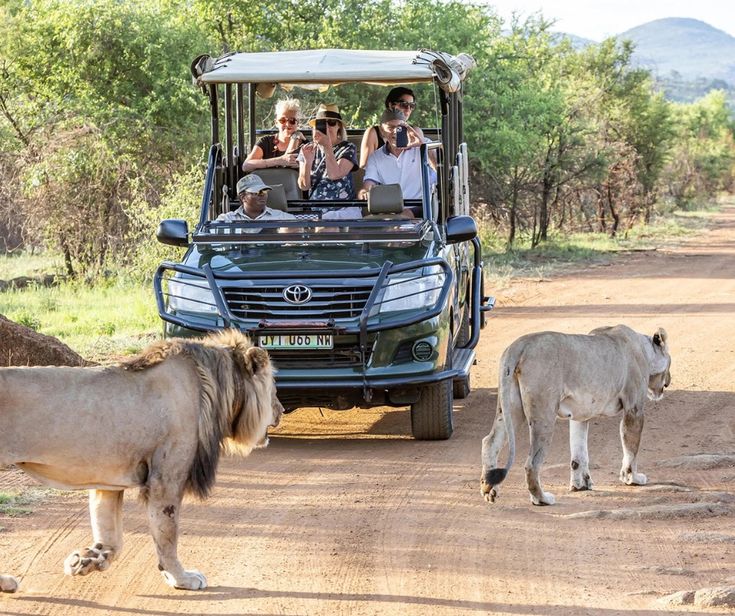 15-Day Southern Africa Adventure: Wildlife, Cities & Culture