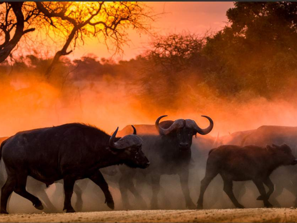 3 day johannesburg exclusive luxury experience