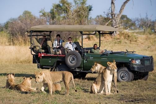 4-Day Sabi Sands Safari at Umkumbe Safari Lodge