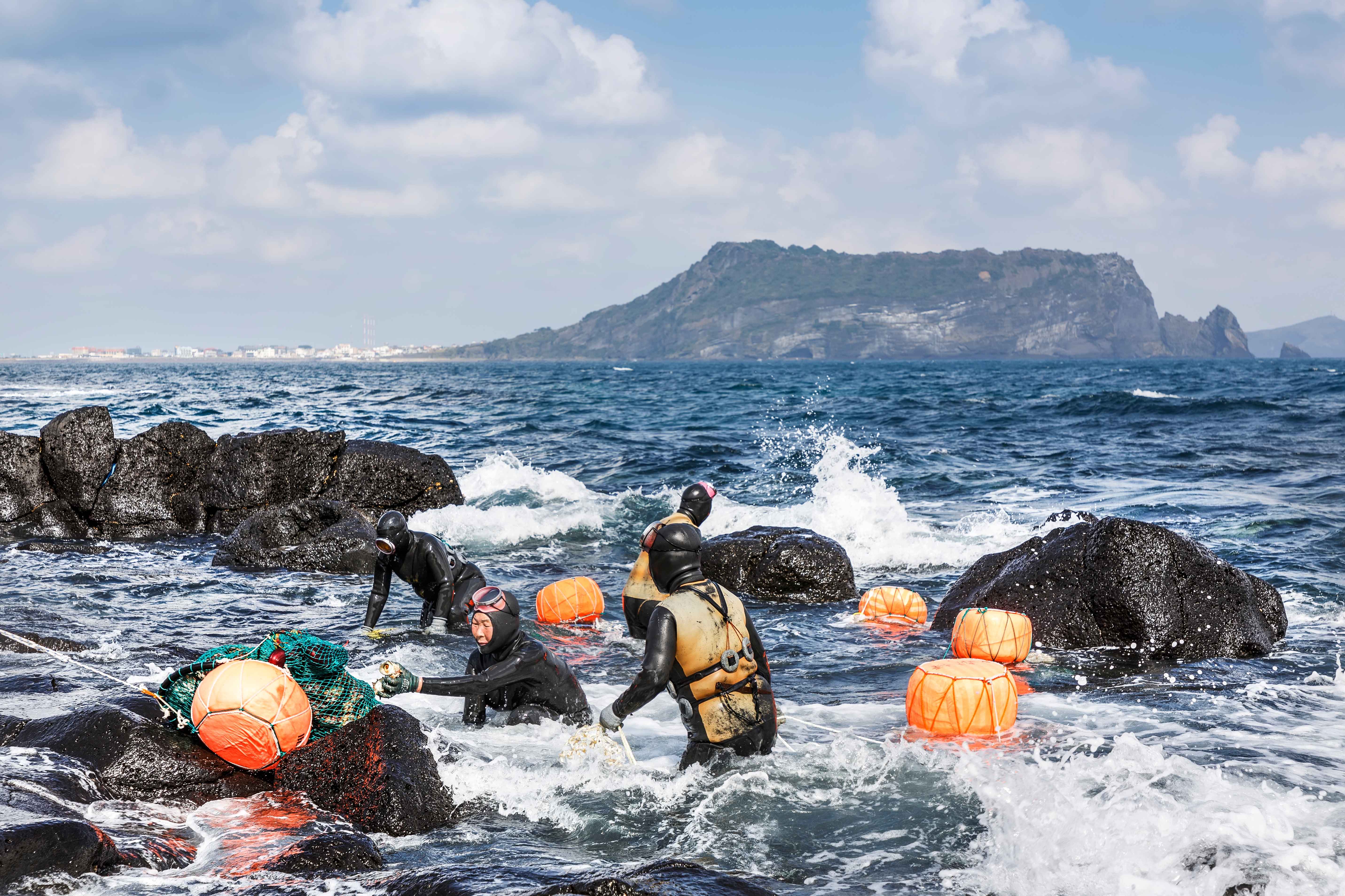 Jeju Customized Private Tour