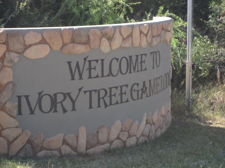 2 day luxury safari at Ivory tree game lodge