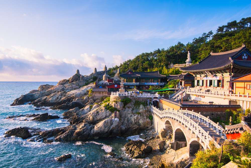 Busan Highlights Private Transport Tour (9 passengers max)
