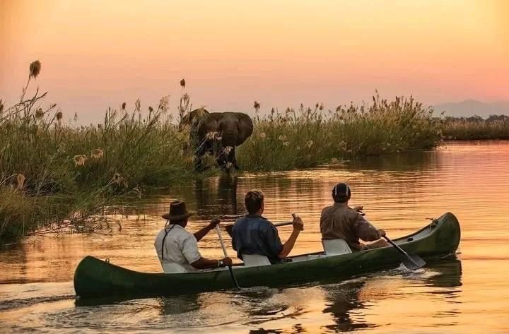 3-Day Chobe Safari Adventure -Boat Cruises & Game Drives