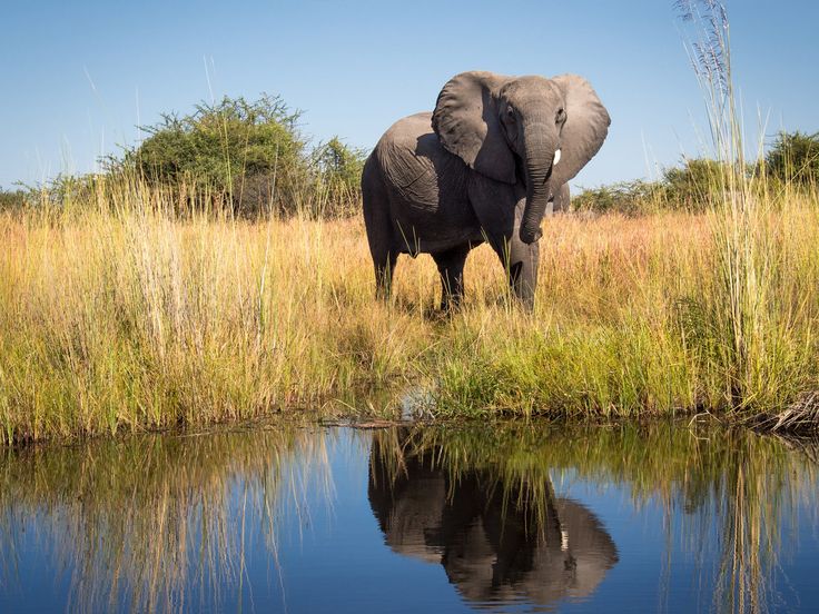 3-Day Chobe Safari Adventure -Boat Cruises & Game Drives