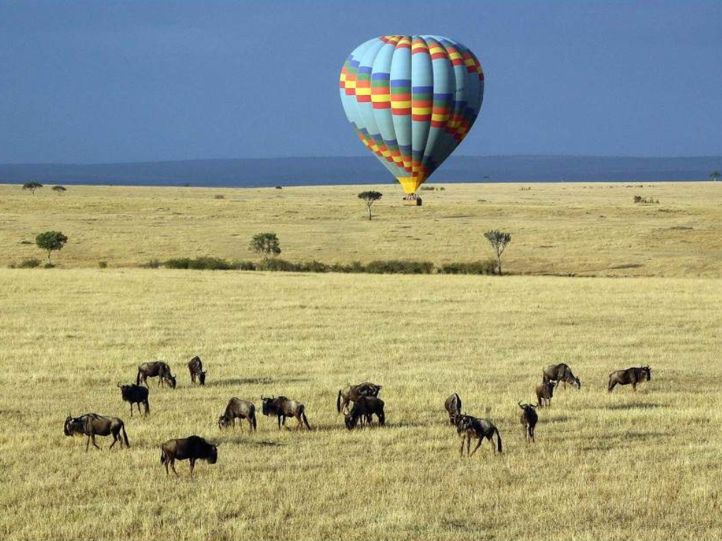 Safari de 5 Días de Lujo en Kenia: Maasai Mara, Lagos y Exclusividad