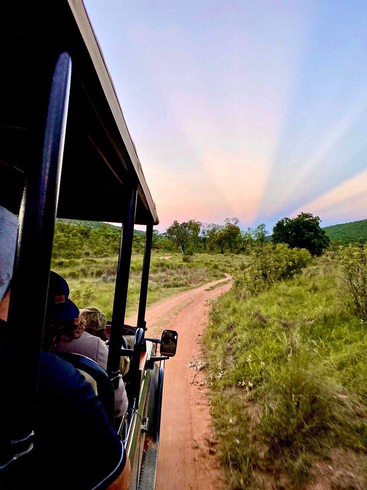 1-Day Cape Town Big Five Adventure with All Meals