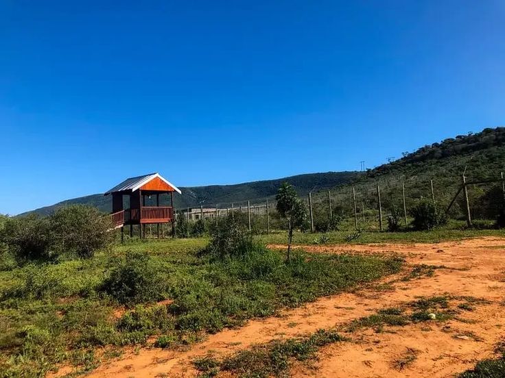 1-Day Cape Town Big Five Adventure with All Meals