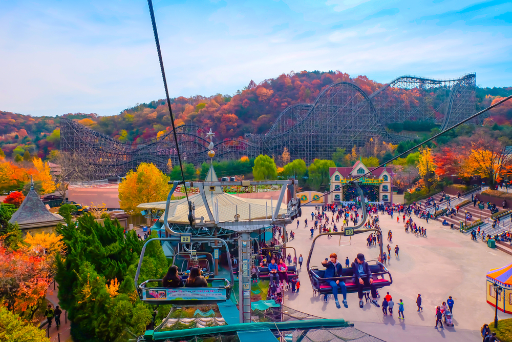 Private Roundtrip Transport to Everland w/Tickets (9 passengers max)
