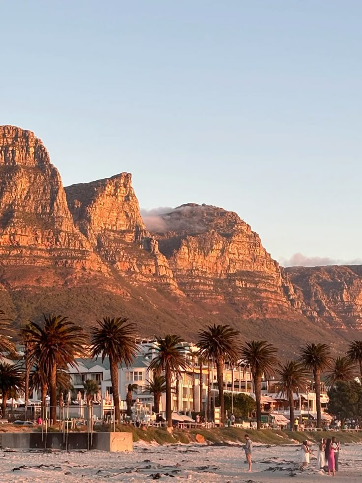 1-Day Cape Town Coastal & Peninsula Scenic Tour