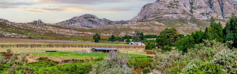 4 day private scenic, wild romantic Garden route tour