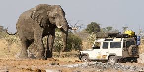 3-Day Authentic Chobe Safari – Big Five & Luxury Stay