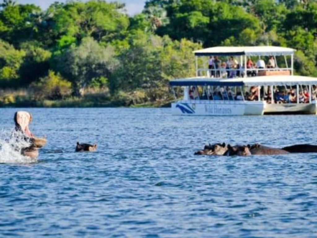 3-Day Wildlife Combo – Victoria Falls & Chobe Safari