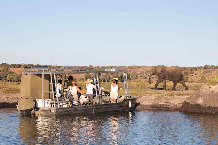 1/2 day Zambezi sunset dinner cruise – Victoria falls