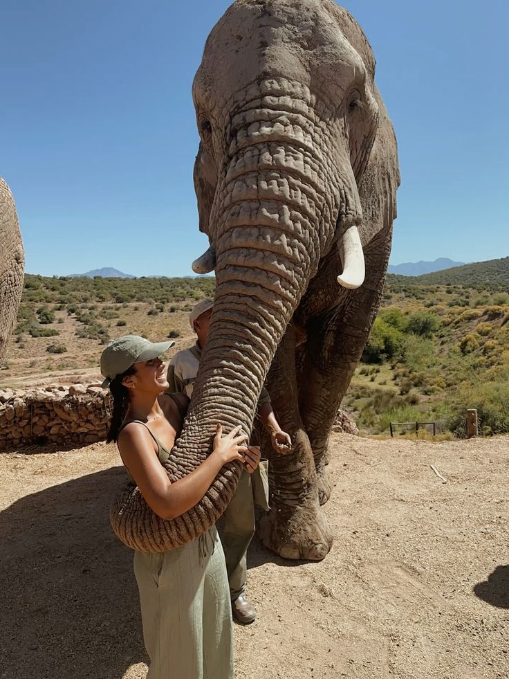 2-Day Inverdoorn Safari – Big Five Cape Town Experience