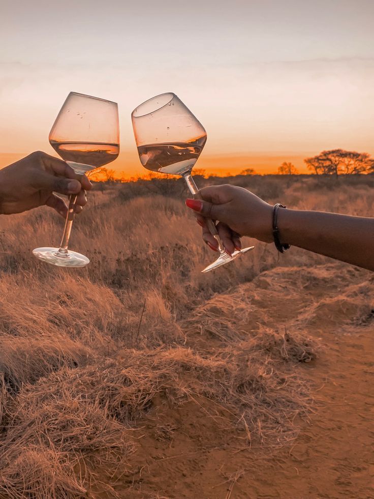 2-Day Cape Peninsula & Wine Country Tour – Beauty & Flavours