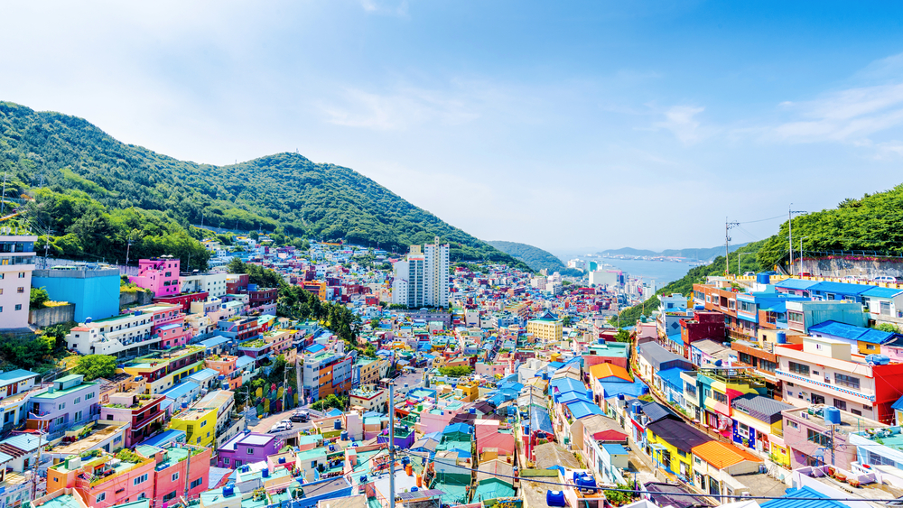 Busan Highlights Private Transport Tour (9 passengers max)