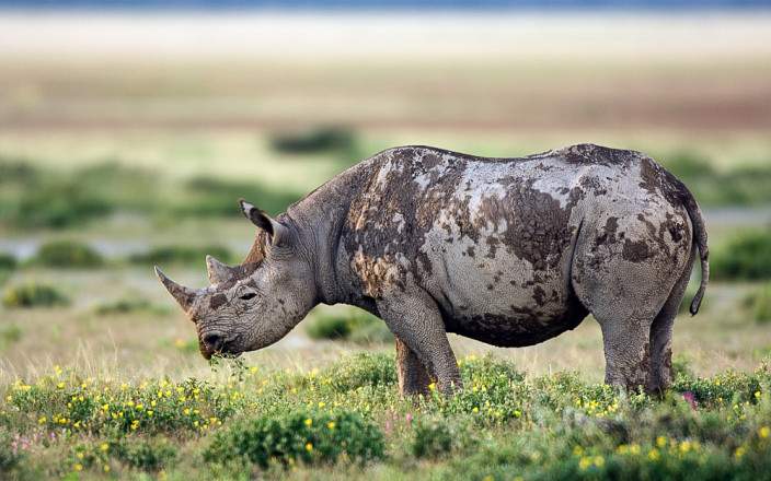 5 días safari en Namibia con una visión de la cultura Himba
