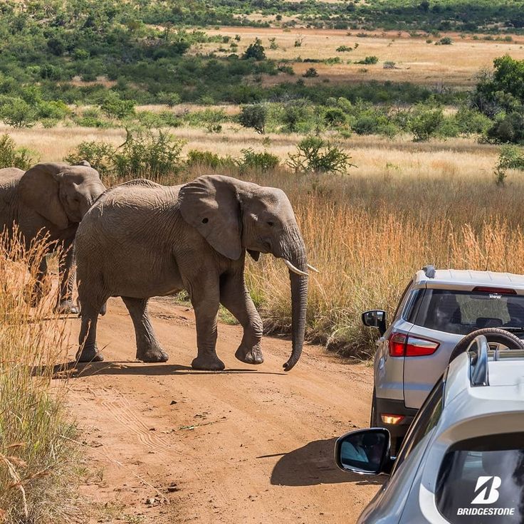 15-Day Southern Africa Adventure: Wildlife, Cities & Culture