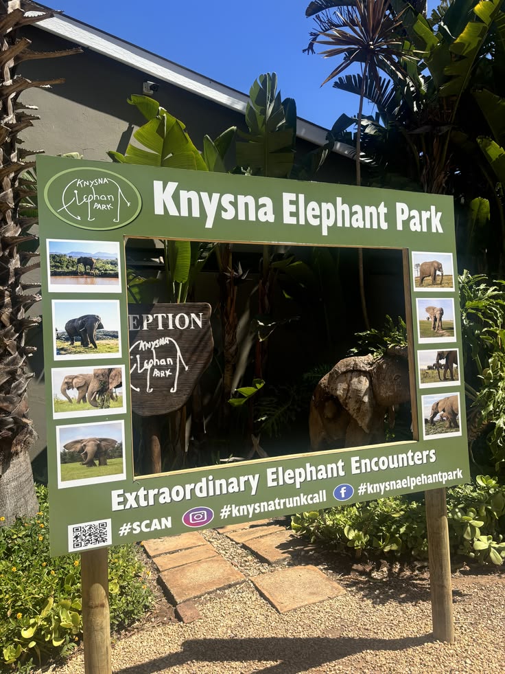 4 day private scenic, wild romantic Garden route tour