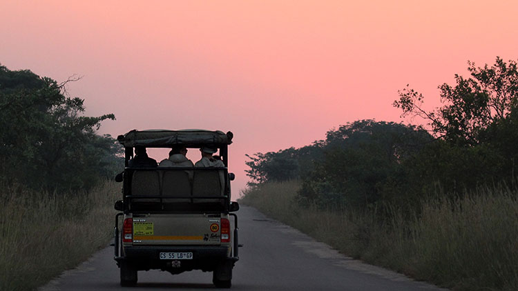 Safari Económico de 7 Días: Kruger, Cataratas Victoria y Chobe