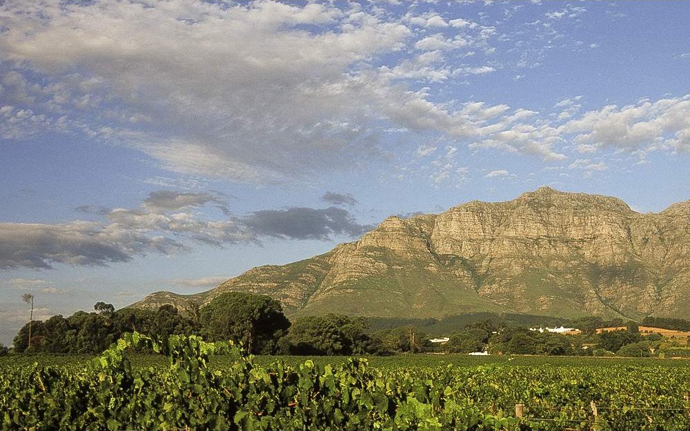 Recorrido por las Tierras Vinícolas del Cabo – Medio Día