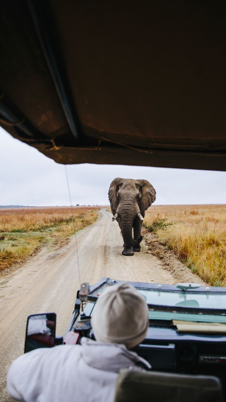 2-Day Exclusive Kruger Safari – Big Five & Luxury Lodge