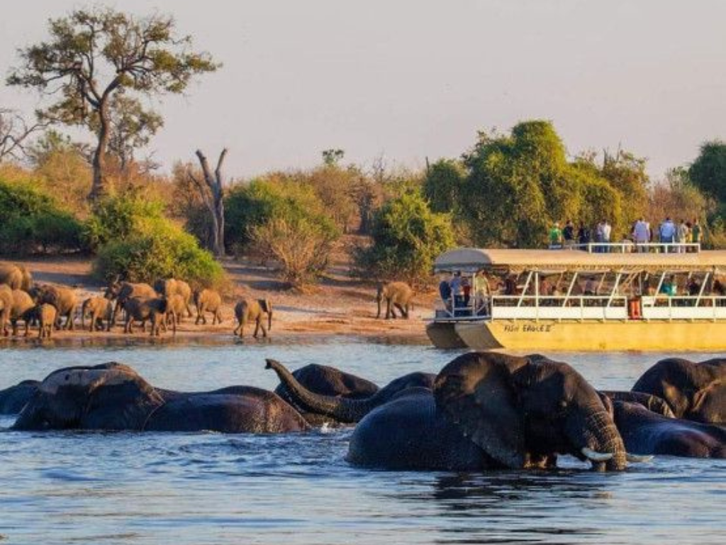 3-Day Wildlife Combo – Victoria Falls & Chobe Safari