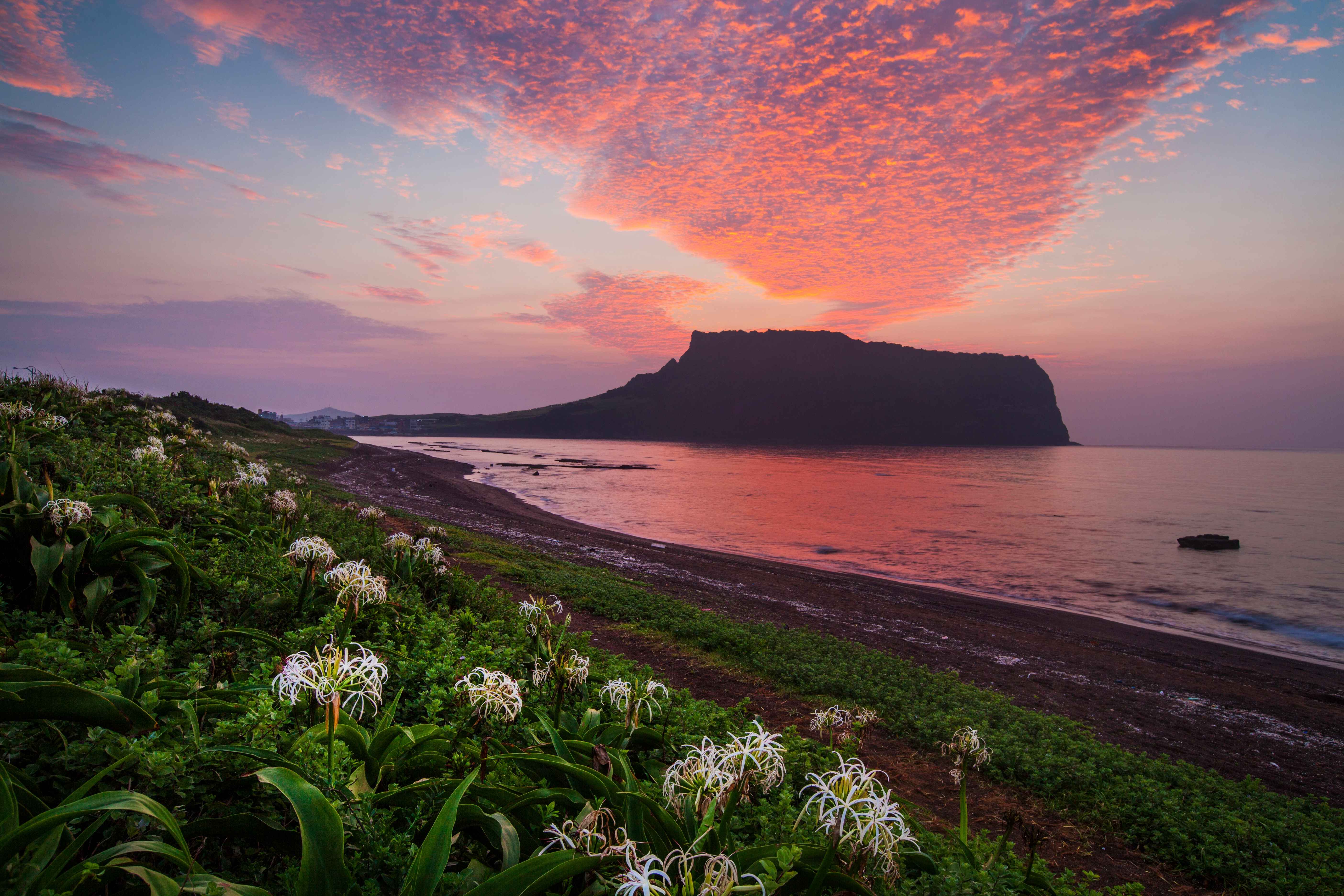 Jeju Customized Private Tour