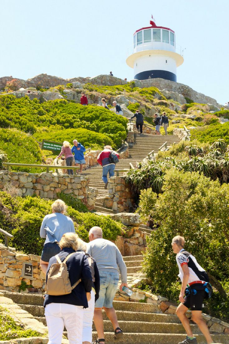 3-Day Safari and Wine Tour – Cape Town