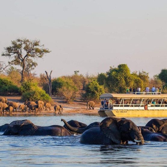 2  Chobe adventure at elephant valley lodge