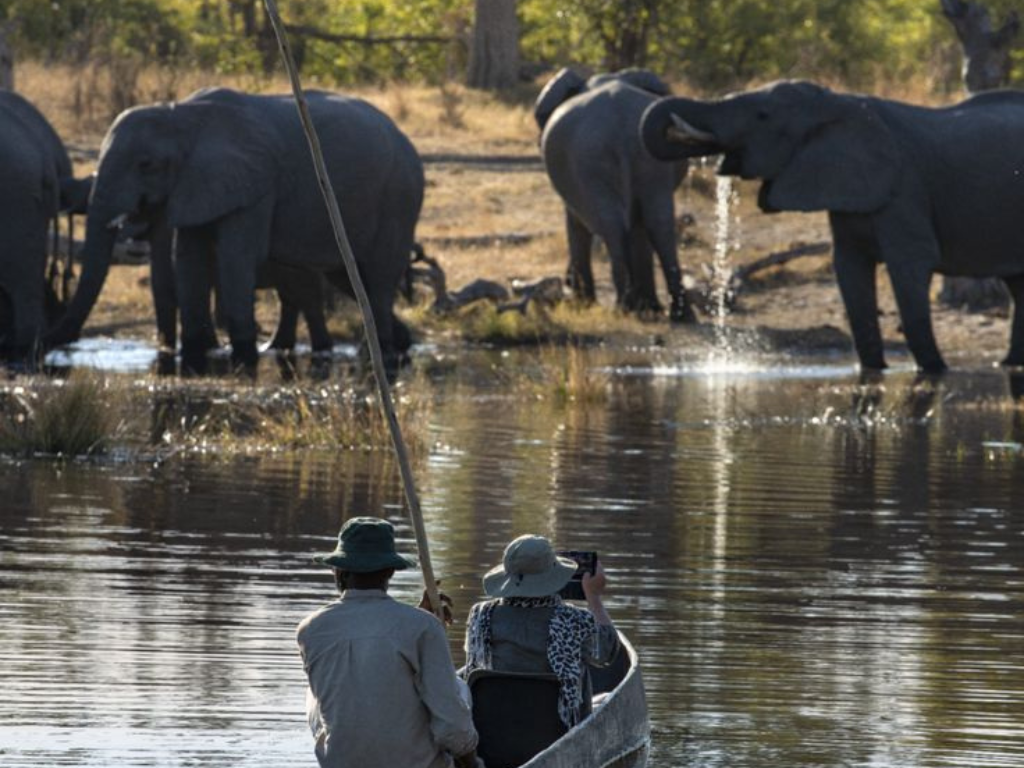 3-Day Okavango Mokoro Trails & Bush Camping Experience