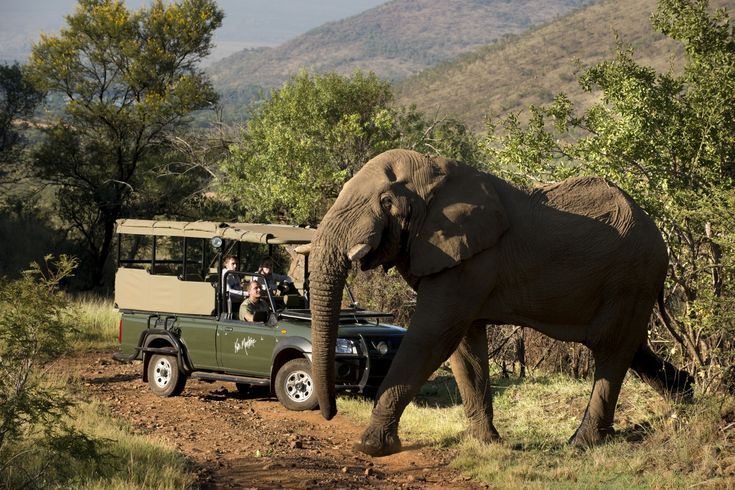 3 day Pilanesberg safari experience – Kwa Maritane