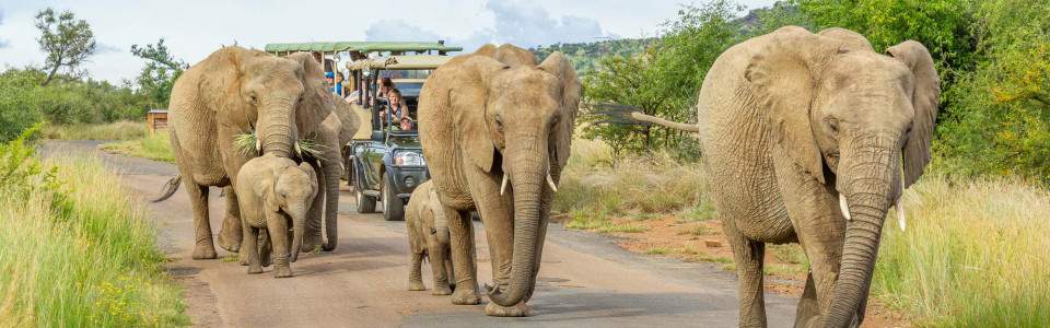 Aventura de Lujo de 4 Días en Black Rhino Game Lodge
