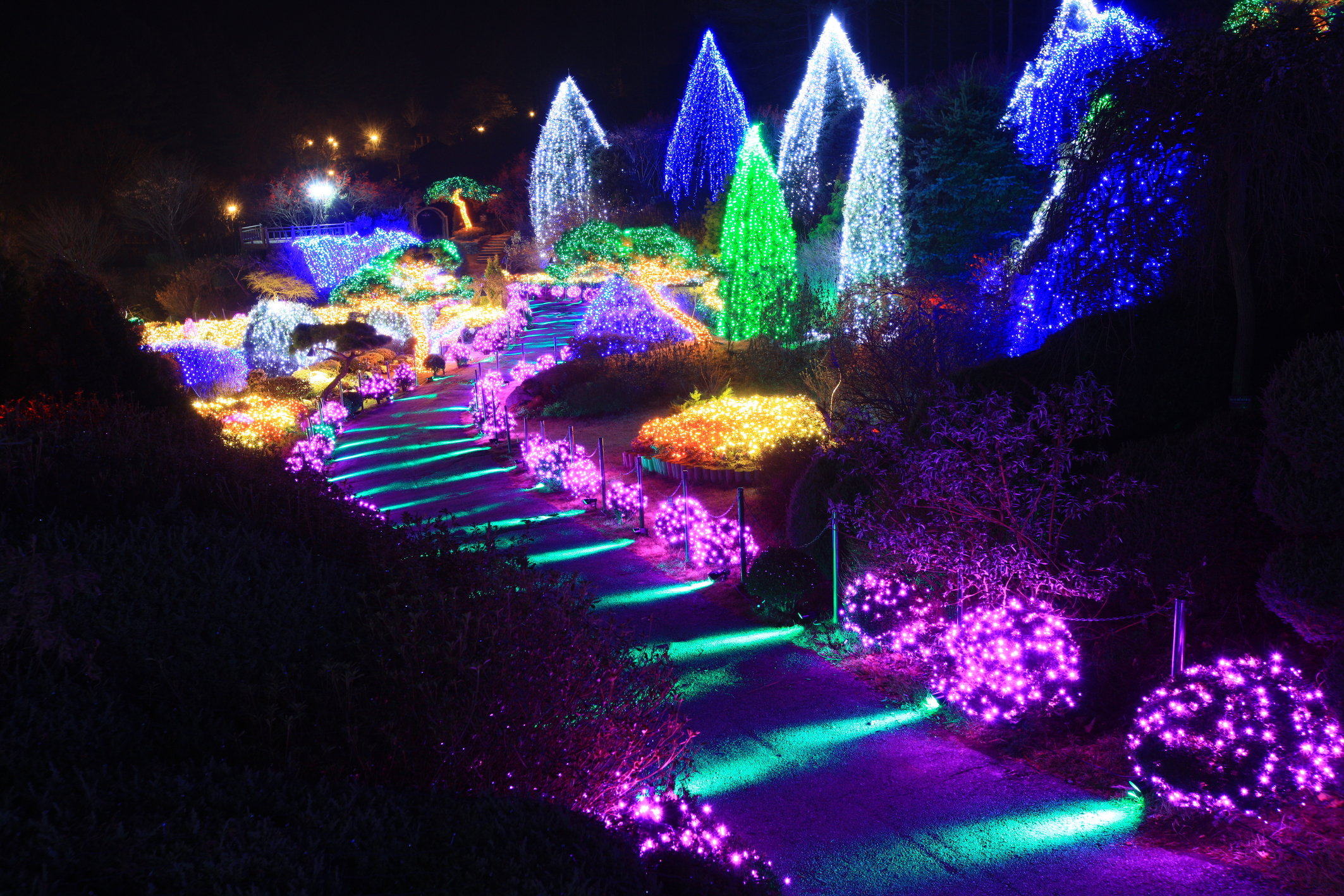 Enjoy the lighting festival at Garden of Morning Calm: a lamp festival that only comes in winter!