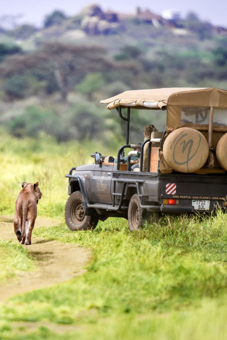 1-Day Kruger Wildlife Expedition from Hoedspruit