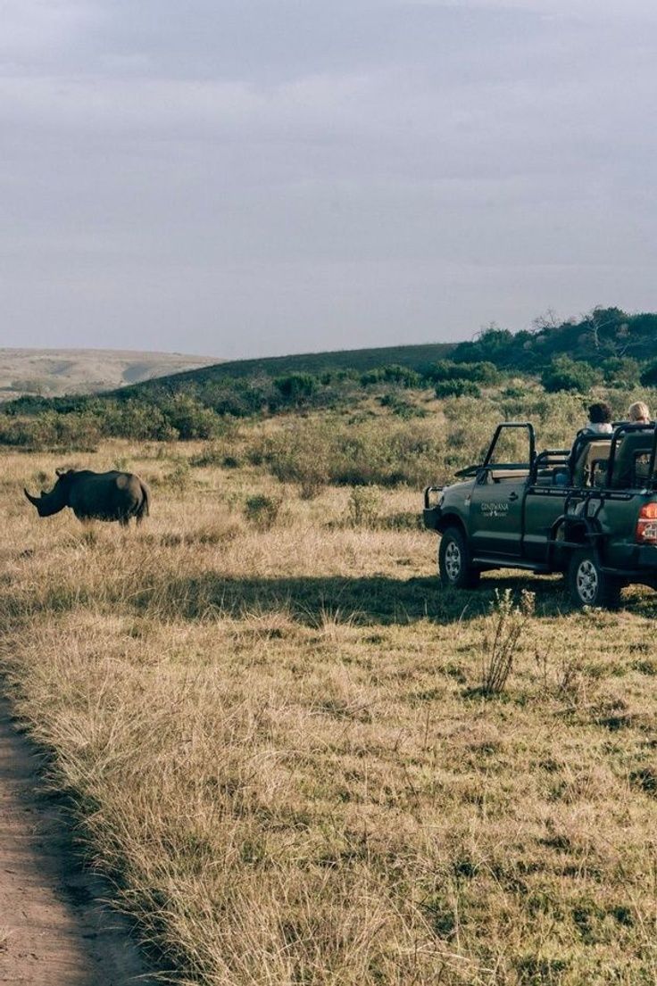 2-Day Safari Getaway near Cape Town – Big Five Adventure