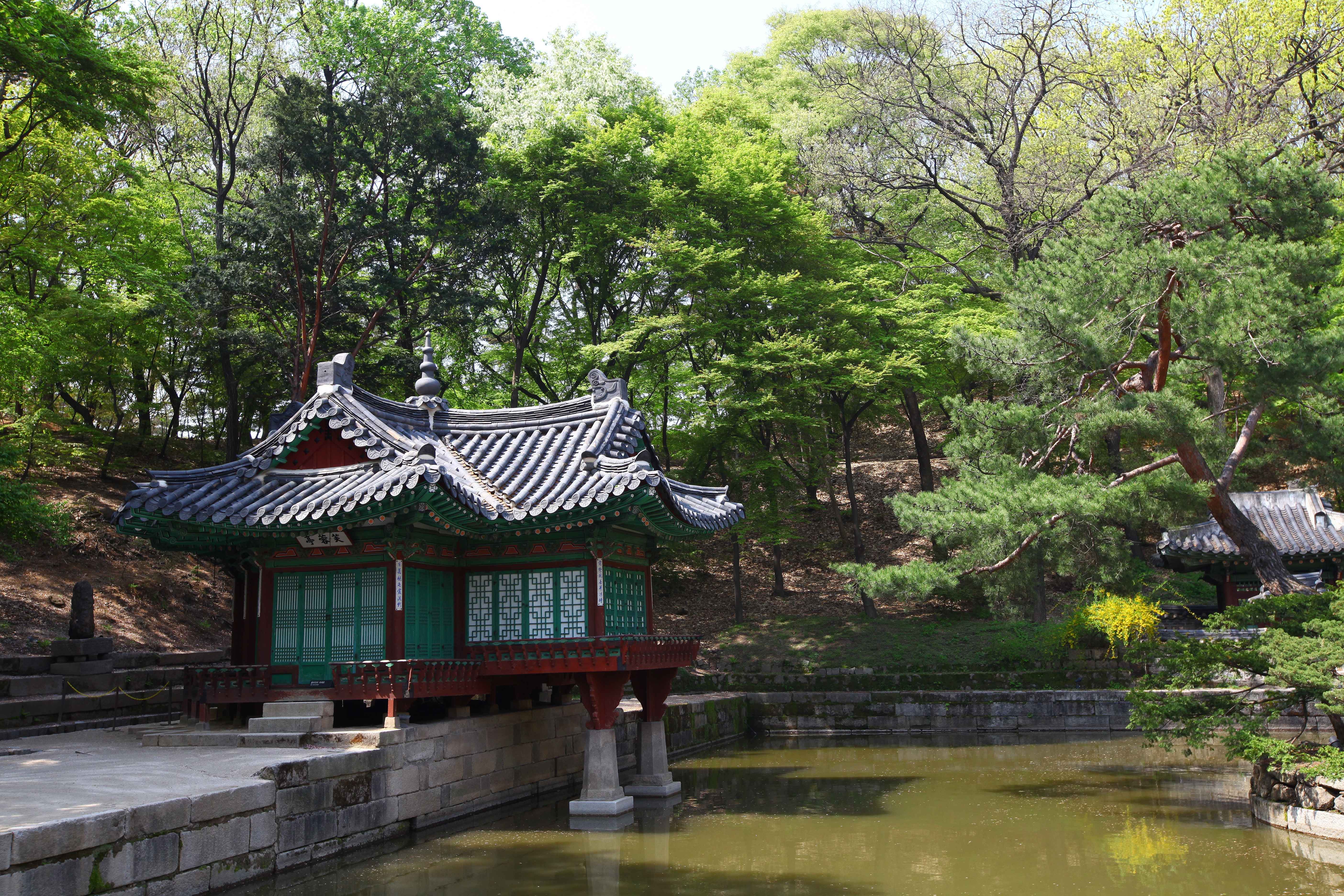 Seoul Customized Private Tour