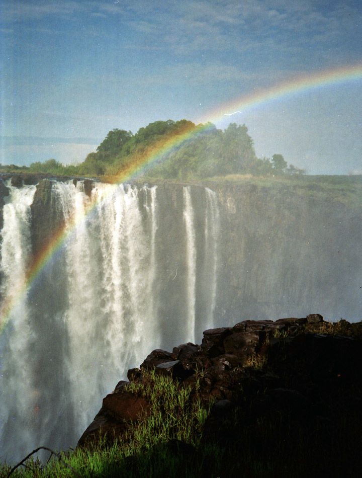 1-Day Wild Chobe Safari from Victoria Falls