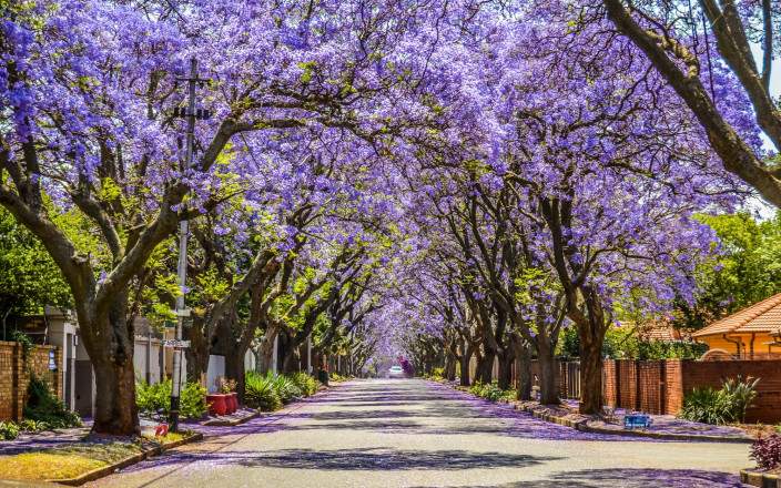 Mina de diamantes y recorrido por la ciudad de Pretoria – 1 día