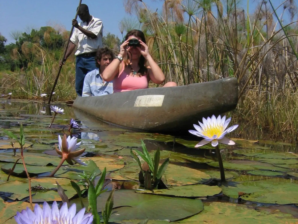 2-Day Chobe Wildlife Safari – Big Game on Land & Water